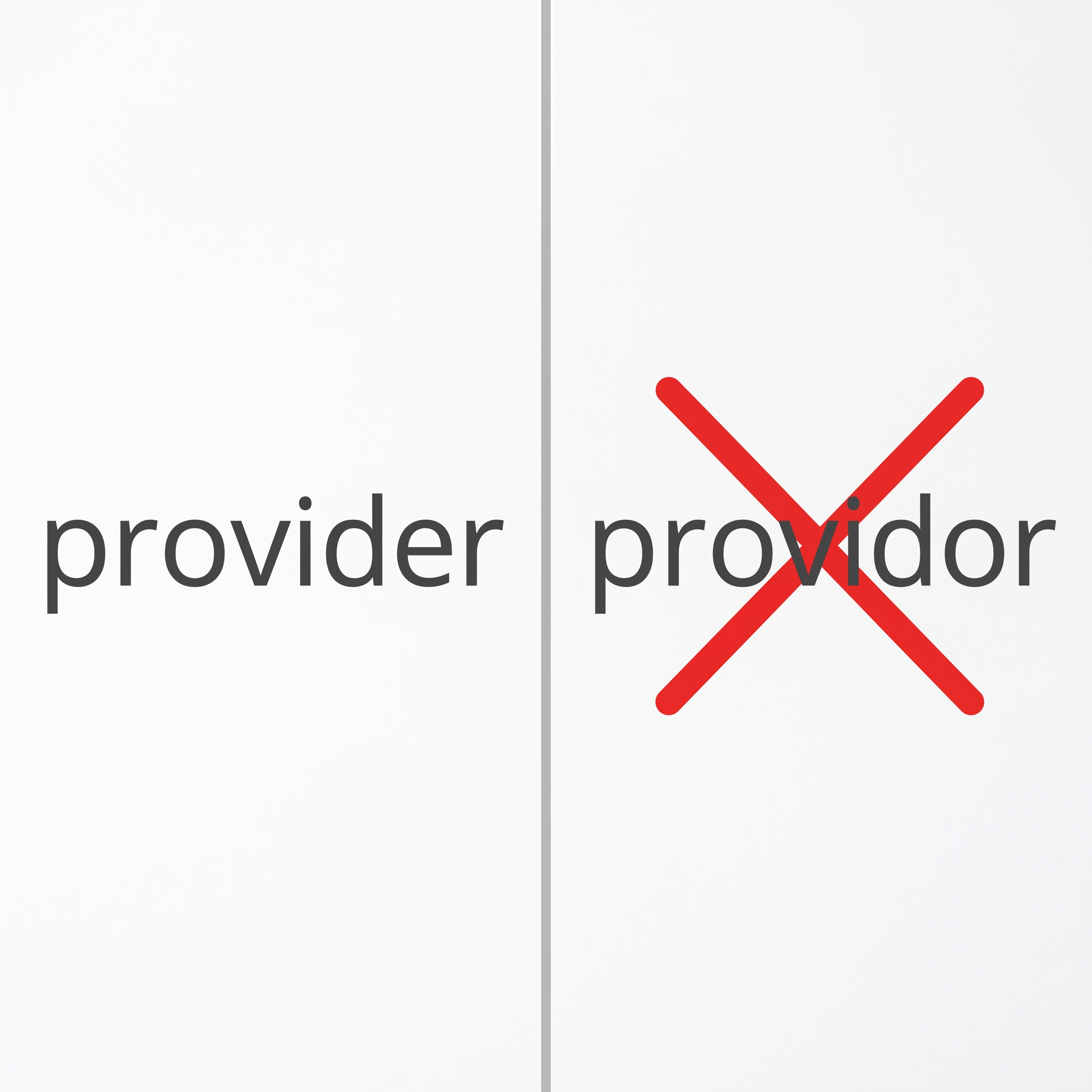 Provider or Providor